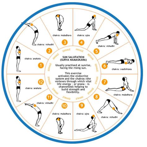 Surya Namaskar (Sun Salutation) has been practiced in India for years and it has enormous health benefits. Description from pinterest.com. I searched for this on bing.com/images Surya Namaskara, Hata Yoga, Yoga Routine For Beginners, Morning Yoga Routine, Surya Namaskar, Sup Yoga, Yoga Iyengar, Trening Fitness, Do Yoga