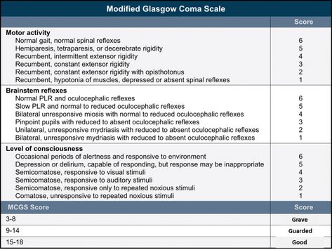 Glasgow Coma Scale, Mississippi State University, Levels Of Consciousness, Veterinary Medicine, Central Nervous System, Motor Activities, Neurology, Colleges And Universities, Veterinarian