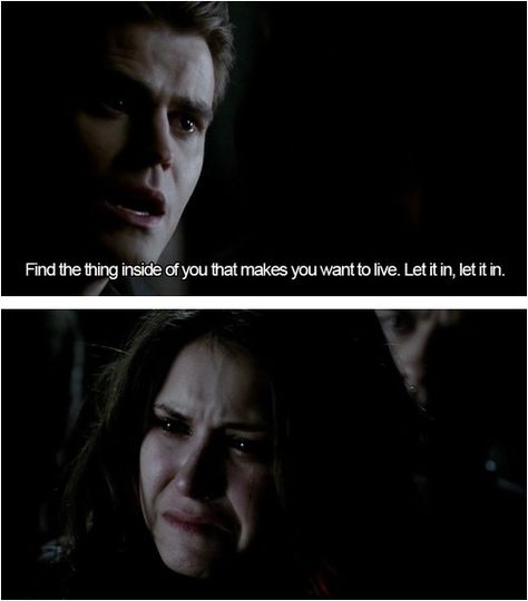 #tvd #stelena Humanity Switch, Popular Book Series, Epic Love, Mystic Falls, Paul Wesley, Movie Couples, Tv Show Quotes, Stefan Salvatore, Keep Calm And Love