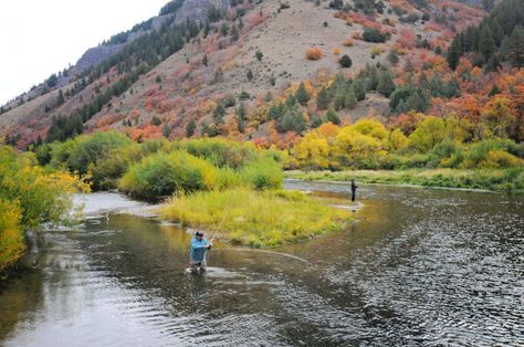 The allure of fall fishing. Logan River in Utah. Utah Rocks, River Fish, Dream Water, Fall Fishing, Logan Utah, Amazing Places On Earth, River Fishing, Camping Activities, Gone Fishing