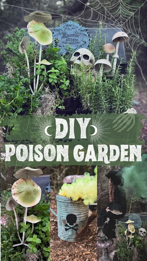 Poison Garden Plants, Gothic Garden Decor Ideas, Poison Garden Halloween, The Poison Garden, Creepy Plants Halloween Diy, Scary Plants Halloween, Goth Garden Plants, Spooky Garden Ideas, Goth Porch Decor