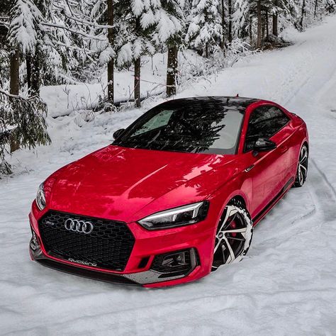 Audi Rs5 Sportback, Red Audi, Rs6 Audi, Luxury Cars Audi, Audi R8 V10, Audi Rs5, Ferrari Laferrari, Mercedes Benz 300, Audi S5