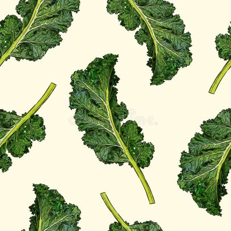 Kale Illustration, Kale Drawing, Kale Leaves, Kale Chips, Leaf Drawing, Draw Sketch, Hand Draw, Tat Ideas, Seamless Pattern Vector