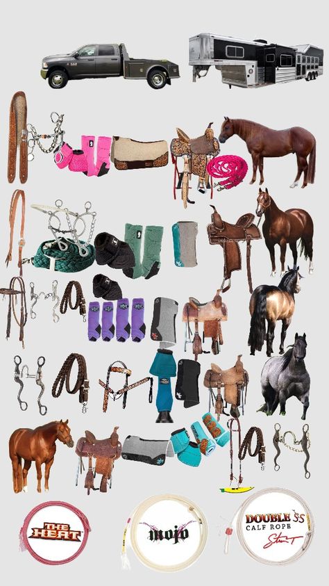 Horse Needs, Horse Stuff Western, Western Horse Tack Turquoise, Western Riding Clothes, Barrel Racing Tack Rodeo, Horse Tack Diy, Western Horse Saddles, Horse Riding Outfit, Barrel Racing Tack