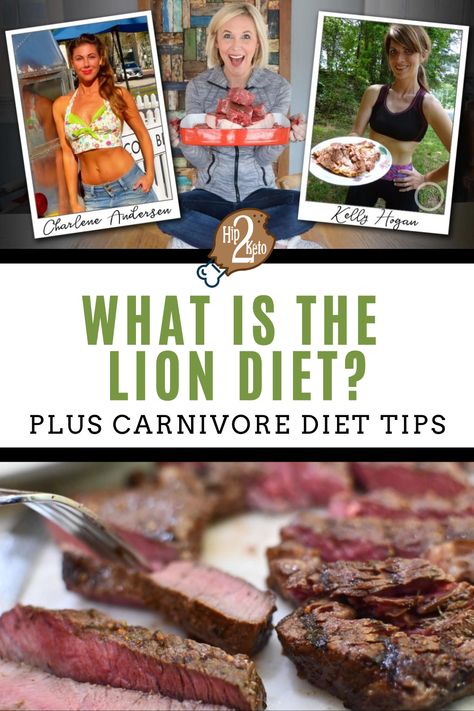 Lion Diet, Smoothie Aesthetic, Zero Carb Diet, The Carnivore Diet, Caveman Diet, Diet Results, Meat Diet, Carnivore Diet, Ketogenic Diet Meal Plan