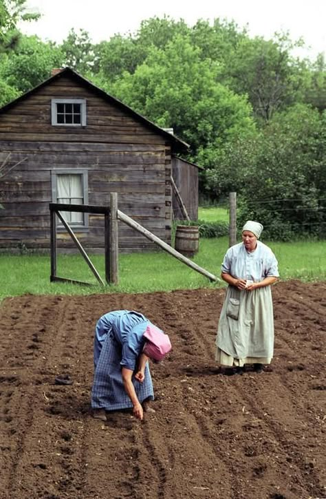 Planting Garden ~ The women were in charge of the garden to grow vegetables for food and can for the winter. Tasha Tudor, Farm Living, Farms Living, Country Scenes, Amish Country, Down On The Farm, Village Life, Rural Life, Living History