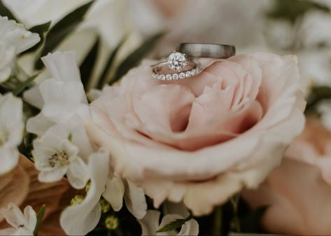 Wedding rings and flowers @belovedstoryphoto #weddingphotography #weddingring #weddingflowers Engagement Ring Photoshoot, Wedding Ring Photos, Ring Photoshoot, His And Hers Rings, Photo Ring, Wedding Rings Photos, Detailed Ring, Ring Pictures, Ring Photos