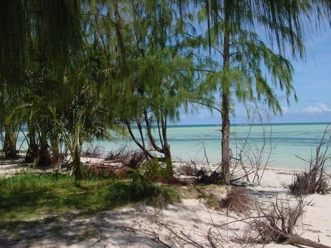 Mariana Islands, Northern Mariana Islands, Tropical Climate, Underwater Photography, Island Beach, Best Cities, Archipelago, Wonderful Places, Small Towns