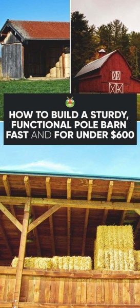 If you have a new homestead, like we do, you definitely need a barn. We show you how to build a pole barn that is cost effective and quick to build. Pergola Cost, Building A Pole Barn, Build A Shed, Homestead Farm, Storage Shed Plans, Pole Barns, Shed Kits, Barns Sheds, Barn Plans