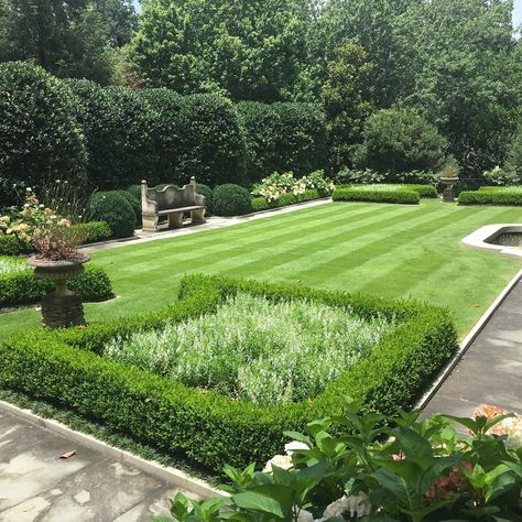 ggm on Instagram: “Nellie R. Stevens Holly and American Boxwoods are the backdrop for this formal Atlanta garden. Wintergreen boxwood parterres filled with…” Nellie Stevens Holly Hedge, American Holly Hedge, Zoysia Lawn, Wintergreen Boxwood, American Boxwood, Hedges Landscaping, Holly Hedge, Lawn Borders, Farm Living