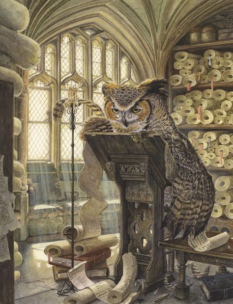 Chris Dunn Illustration/Fine Art: The Scribe Chris Dunn Illustration, Owl Writing, Magic Creatures, Marjolein Bastin, Fairytale Art, Owl Art, Arte Animal, Arte Fantasy, Art And Illustration