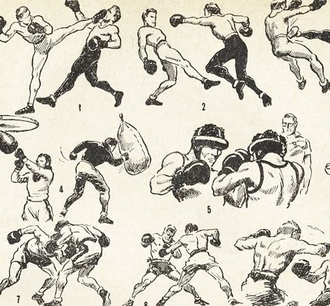 Boxing Moves, Vintage Boxing, Boxing Posters, Martial Arts Techniques, 캐릭터 드로잉, Boxing Training, Fun Illustration, Flash Art, French Language