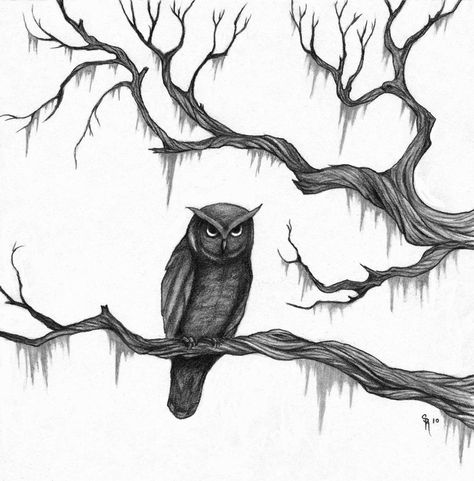 love these branches Owl And Tree Tattoo Design, Owl Branch Tattoo, Burrowing Owl Tattoo, Owls On A Branch Tattoo, Owl Sitting On Branch, Branch Tattoo, Night Owl, Owl Tattoo, Tattoo Design Drawings