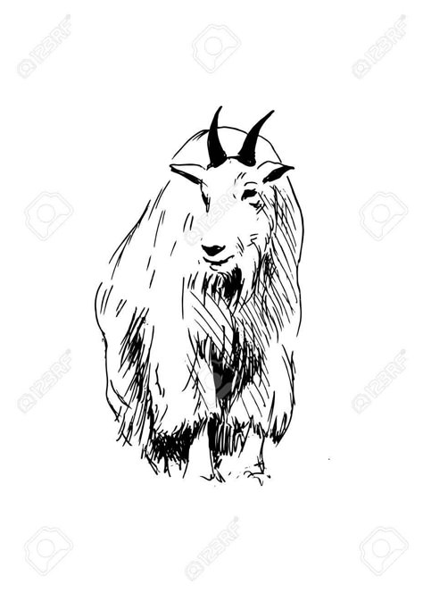 Mountain Goat Drawing, Mountain Goat Tattoo, Goat Drawing, Antelope Animal, Goat Tattoo, Mountains Tattoo, Dna Tattoo, Mountain Sheep, Family Brand