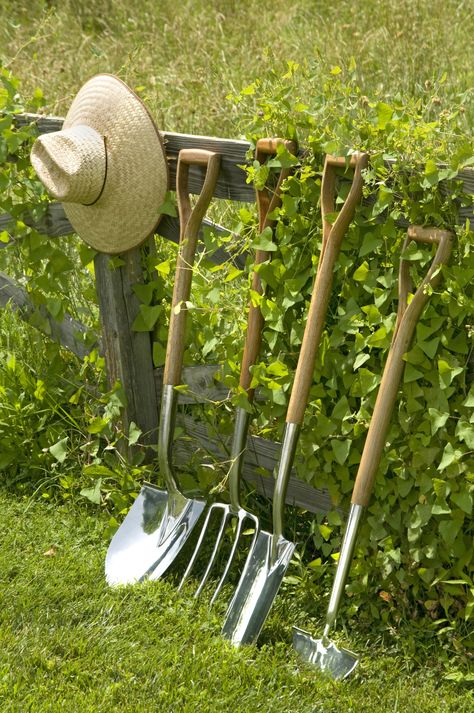 Applejack Aesthetic, Grey Gardens, Farms Living, Down On The Farm, Potting Shed, Country Farm, Garden Cottage, Country Gardening, Kitchen Garden