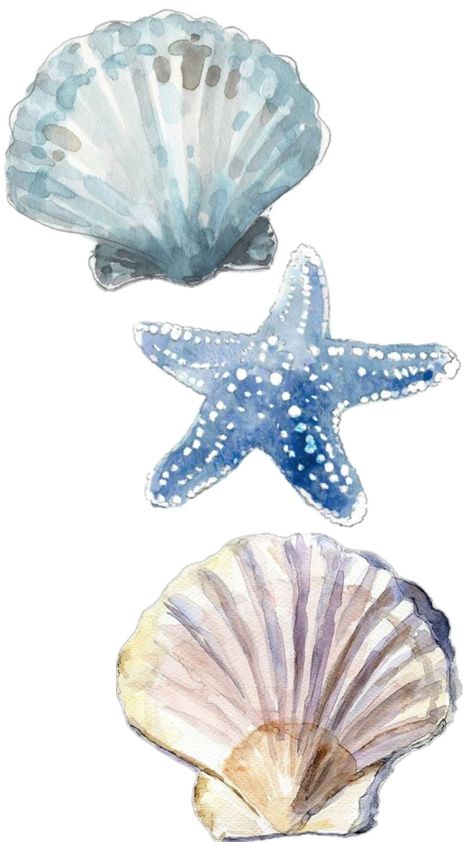 Shells Watercolor Painting, Ocean Aesthetic Watercolor, Watercolour Shells Seashells, Watercolour Art Aesthetic Easy, Watercolor Seashells Easy, Sea Shells Watercolor, Ocean Inspired Paintings, Sea Shell Watercolor Paintings, Seashell Watercolor Painting