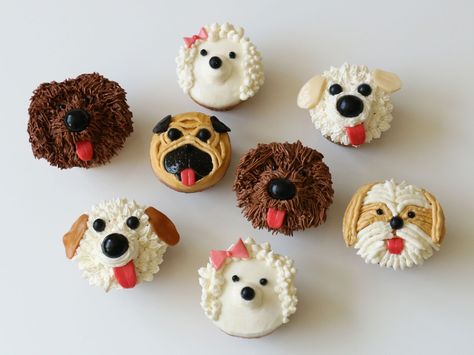 Go Mutts for Pupcakes! : These adorable doggie doppelgangers are created with just a few simple ingredients. All you need is a dozen of your favorite cupcakes, a batch of white buttercream, some easy-to-find candies and a few decorating tools. Follow these simple steps to create shaggy dogs, pugs, shih tzus and more. Puppy Dog Cupcakes, Puppy Cupcakes, Cupcake Piping, Dog Cupcakes, Puppy Cake, Animal Cupcakes, Children Activities, Diy Cupcakes, Dog Cakes