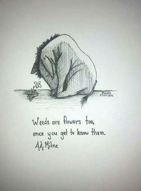 Now Quotes, Commonplace Book, Winnie The Pooh Quotes, Pooh Quotes, Friend Quotes, Disney Quotes, Book Inspiration, Health Quotes, Disney Drawings