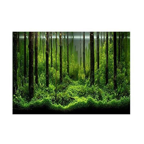 PVC Fish Tank Background Adhesive Underwater Forest Tank ... https://www.amazon.co.uk/dp/B07KC41TT5/ref=cm_sw_r_pi_dp_U_x_k1laDb9ZS1NND Underwater Forest, Aquarium Poster, Fish Background, Paper Fish, Aquarium Landscape, Aquarium Accessories, Forest Background, Aquarium Design, Tanked Aquariums