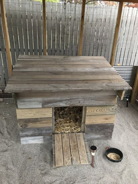 Click this image to show the full-size version. Pallet Duck House, Duck Housing, Duck Enclosure, Diy Rabbit Cage, Duck Coop, Duck Farming, Backyard Farm, Rabbit Cages, Duck House