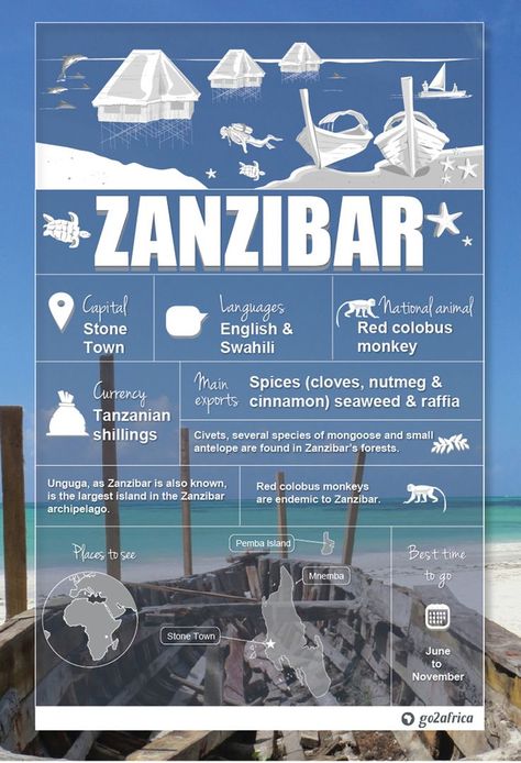 Zanzibar destination guide African Vacation, Zanzibar Travel, Zanzibar Beaches, Island Holidays, Spice Island, Travel Infographic, Holiday Travel Destinations, African Travel, Honeymoon Spots