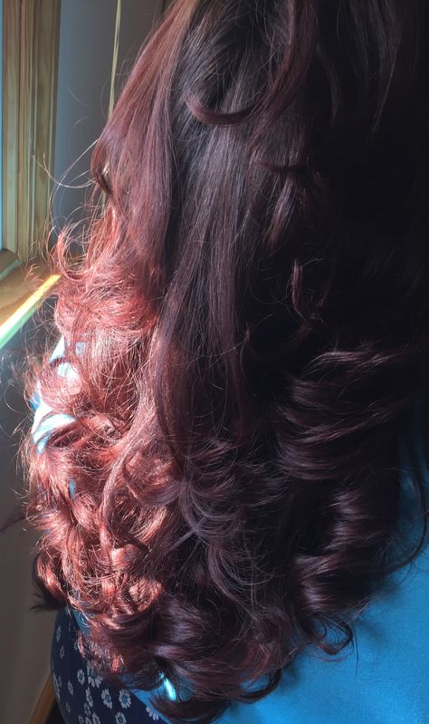 Black Hair With Red Tint In Sun, Dark Red Hair In The Sun, Black Hair That Looks Red In The Sun, Curly Dark Red Hair Dyed, Red Henna On Brown Hair, Dark Red Hair On Black Hair, Red Hair In The Sun, Red Glaze On Brown Hair, Red Dye On Brown Hair