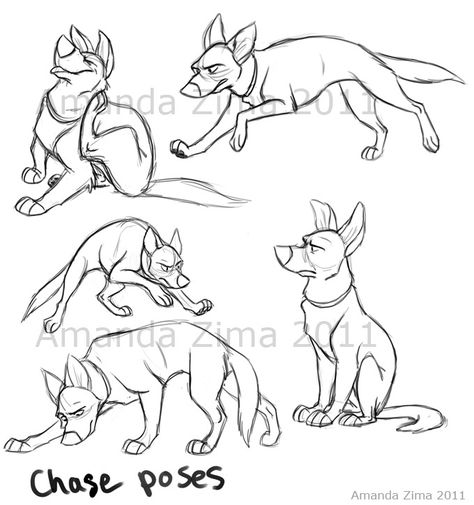 Amanda's Drawing Blog Drawings Of Dogs, Dog Artist, Dog Animation, Cartoon Drawings Of Animals, Dog Sketch, Different Poses, 캐릭터 드로잉, Poses References, Wow Art