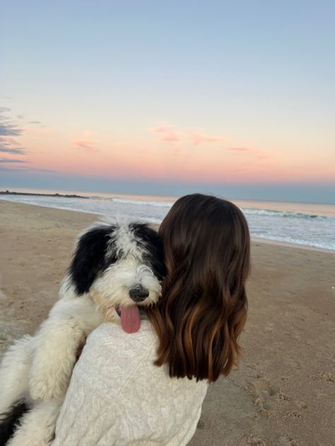 Aesthetic Pet Photos, Dogs On The Beach Photos, Dog Beach Pictures Photo Ideas, Cute Dog And Owner Pictures, Dog Vacation Pictures, Beach With Dog Pictures, Girl And Her Dog Aesthetic, Dog On Beach Aesthetic, Dog Life Aesthetic