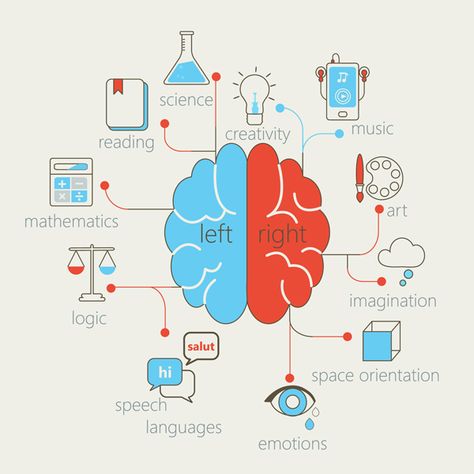 People tend to be primarily either left-brained or right-brained, but brain balanced people benefit from the way each side of the brain processes information. Here's a very simple exercise that you can do in under a minute to help bring your brain into balance. #rightbrain #leftbrain #balancedbrain #alternativehealth #complementaryhealth #intuitivehealing #brainhealth #northernvirginia #washingtondc Brain Rewiring, Left Brain Right Brain Test, Lesions On Brain, Left Brain Vs Right Brain, Emotional Brain Vs Logical Brain, Intuitive Healing, Side Work, Left Brain, Simple Exercise