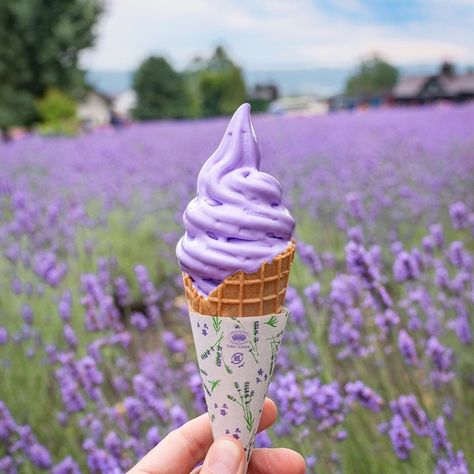 Robbie on Instagram: “Lavender ice cream at Tomita Farm in Furano, Hokkaido.  Did you know the color purple is the color most associated with power and royalty.…”