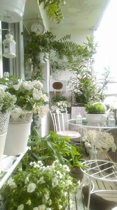 Gothic Gardens, Balcon Mic, California Backyard, French Balcony, Small Balcony Garden, Small Balcony Design, Balcony Plants, Porch And Balcony, Small Balcony Decor