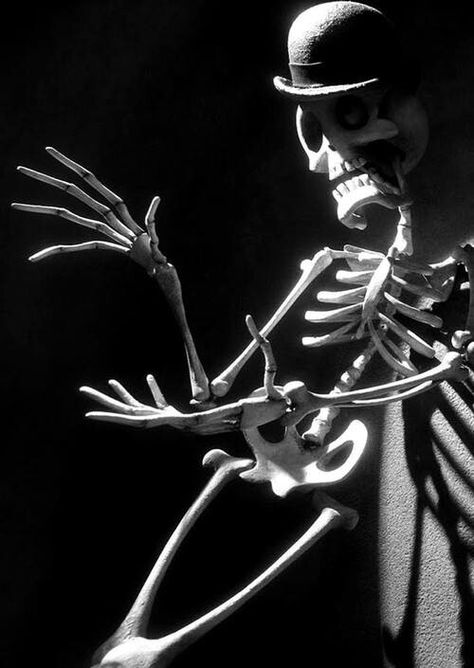 Cool Skeleton Corpse Bride, G H, Tim Burton, A R, Skeleton, Romance, Sun