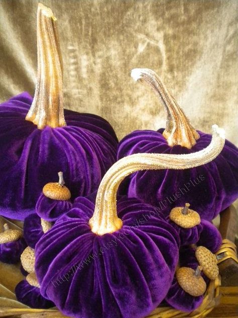 Modern Rustic Wedding Decor, Velvet Acorn, Modern Rustic Wedding, Rustic Modern Wedding, Pumpkin Stem, Purple Stuff, Everything Purple, Purple Things, I Love Purple