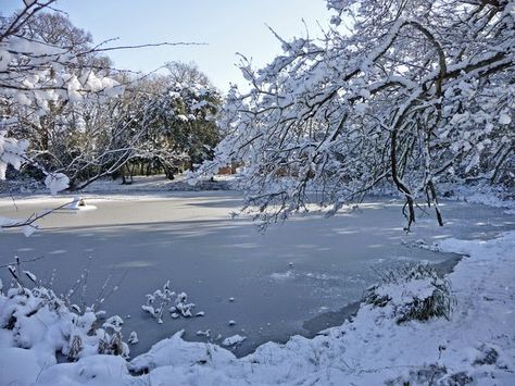 Ice Skating Outdoors, Frozen Images, Farm Pond, Pond Aerator, Maladaptive Daydreaming, Frozen Pond, Skating Aesthetic, Icebreakers, On Writing