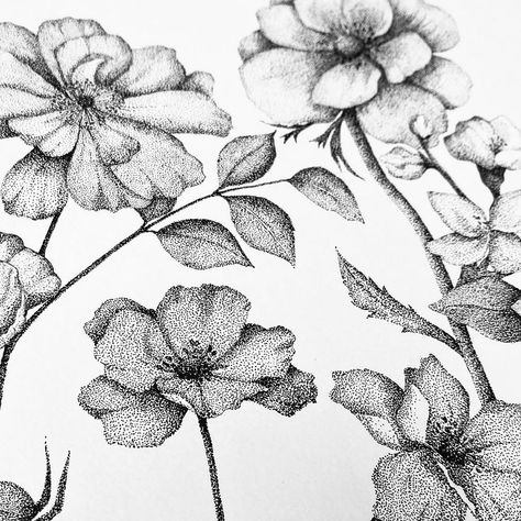 Stippling Drawing, Dotted Drawings, Stippling Art, Pen Art Drawings, Flower Art Drawing, Sketchbook Drawings, Flower Art Painting, Stippling, Realistic Drawings