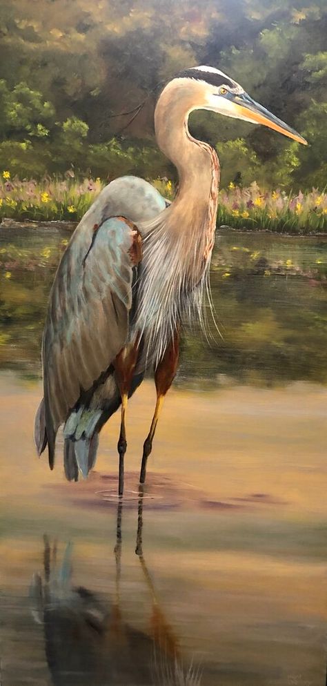 Pelican Drawing Sketch, Canvas Art Painting Landscape, Pond Art, Audubon Prints, Nature Paint, Bird Painting Acrylic, Animal Paintings Acrylic, Paintings Wall Decor, Heron Bird