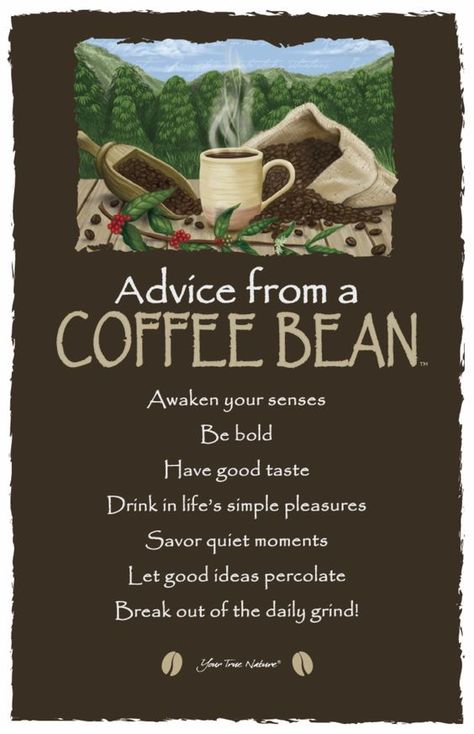 aDViCe FRoM a CoFFee BEaN Coffee Talk, Coffee Is Life, Advice Quotes, Quiet Moments, Coffee Bean, Coffee Love, Coffee Quotes, Simple Pleasures, Coffee Humor