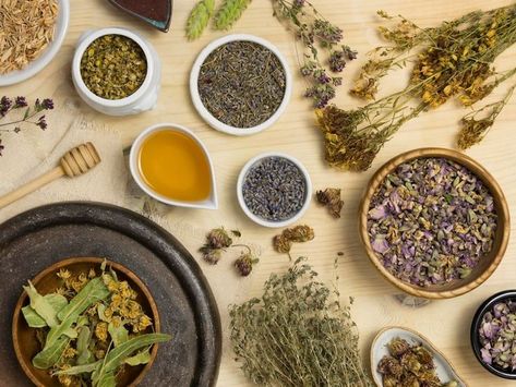 Herbs that are good for us have long been considered integral to our overall well-being. Fever Medicine, Ayurvedic Remedies, Ayurvedic Herbs, Upset Stomach, Ayurvedic Medicine, Liver Health, Valerian, Natural Herbs, Herbal Supplements