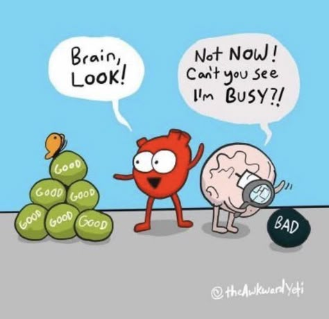 Spiritual Humour, Heart Or Brain, Heart And Brain Comic, Heart Vs Brain, Awkward Yeti, The Awkward Yeti, Heart And Brain, Heart Brain, Don't Sleep