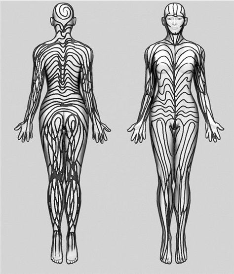 One of the subjects developmental biologists are interested in is the development of pattern. There are the obvious externally visible patterns — the stripes of a zebra, leopard spots, the or… Drawing Ideas Characters, Urban Fantasy Aesthetic, Mind Explosion, Mannequin Ideas, Arm Anatomy, Magic Illustration, Red Moles, Real Tattoos, 2d To 3d