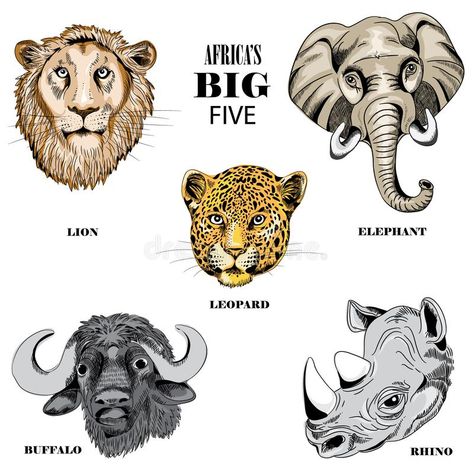 Savannah Africa, Big 5 Animals, Big Five Animals, Cat Tshirt Design, Africa Animals, Africa Do Sul, Big 5, Art Style Inspiration, Background Illustration