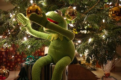 Funny Kermit, Savage Af, Christmas Memes, Super Funny Quotes, Funny Quotes For Instagram, Memes Sarcastic, Funny Picture Quotes, Morning Humor, Funny Relationship