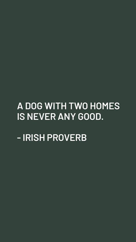 Family Quotes Truths, Wise Proverbs, Simple Frock, Daily Use Words, Life Quotes Relationships, Good Quote, Quotes Relationships, Irish Proverbs, Funny Poetry