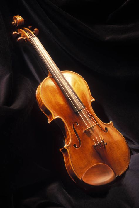 A Stradivarius' sound will change over time Cello Aesthetic, Violin Aesthetic, Cremona Italy, Keeping Quiet, Stradivarius Violin, Violin Photography, Antonio Stradivari, Electronic Music Instruments, Kids Musical Instruments