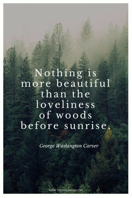 Quotes About Nature, Citation Nature, Mountain Quotes, Into The Woods Quotes, Quotes Nature, Motivation Positive, Hiking Quotes, About Nature, Life Quotes Love