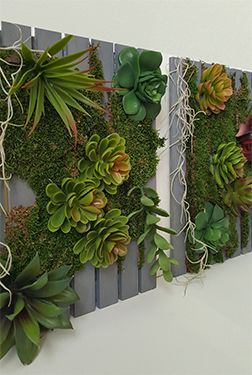 Succulent Wall Planter, Vertical Vegetable Gardens, Succulent Frame, Vertical Succulent Gardens, Vertical Garden Indoor, Vertical Vegetable Garden, Succulent Wall Art, Vertical Herb Garden, Vertical Garden Diy