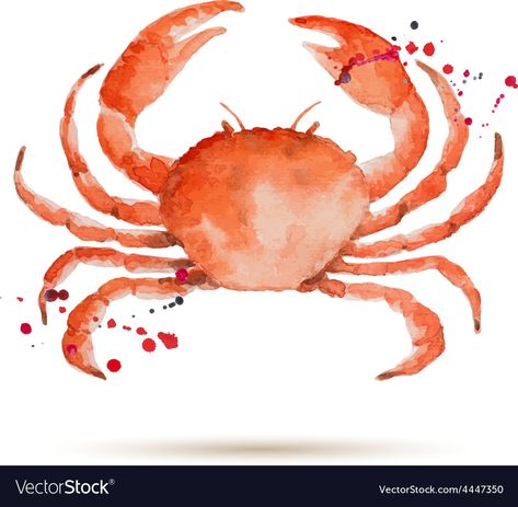 Crab Watercolor, Crab Illustration, Ocean Watercolor, Stocking Designs, Classroom Theme, Water Colors, Featured Artist, Orange White, Car Stickers