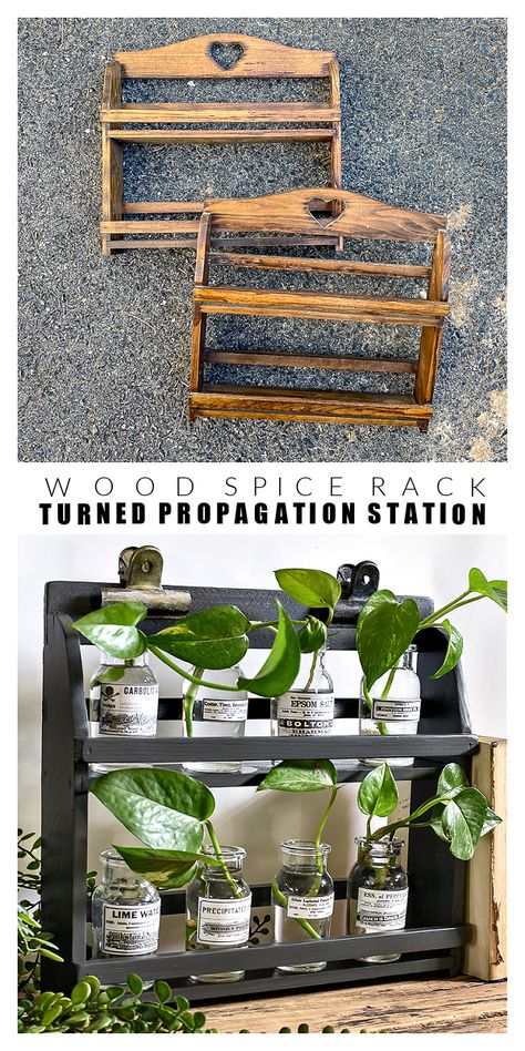 Plant Propagation Display, Cute Propagation Ideas, Propagating Station Ideas, Repurposed Spice Rack, Vintage Spice Rack Makeover, Dollar Tree Propagation Station, Propagating Station Diy, Propagation Jars Diy, Wooden Propagation Station