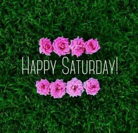 Happy Saturday Flowers Image good morning saturday saturday quotes good morning… Happy Saturday Quotes, Saturday Greetings, Happy Quotes Funny, Saturday Images, Saturday Quotes, Good Morning Saturday, Happy Weekend Quotes, Body Shop At Home, Weekday Quotes