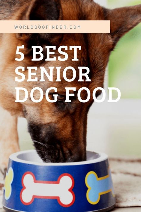 As dogs age, their dietary needs will change. They will not require as much energy, and their mobility will probably decrease. To provide them a carefree senior life, you should pick the best senior dog food made specifically for older dogs. Senior dogs have a slower metabolism, and their food should adapt to it. Food For Senior Dogs, Senior Dog Food, Senior Dog Food Recipes, Senior Dogs, Dog Food Brands, Food Review, Dog Ages, Dog Food Storage, Best Dog Food